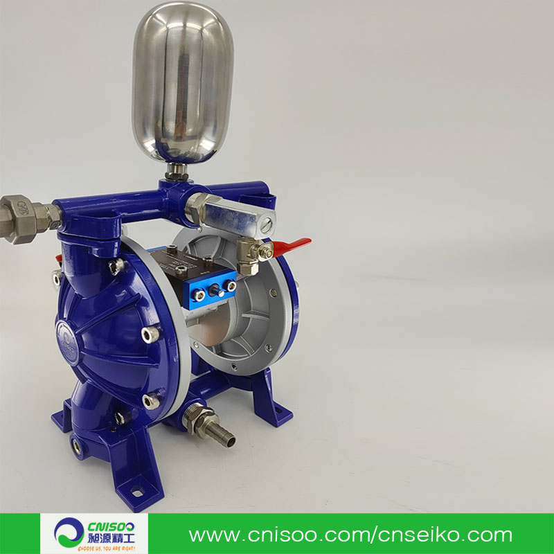 6Pneumatic diaphragm pump