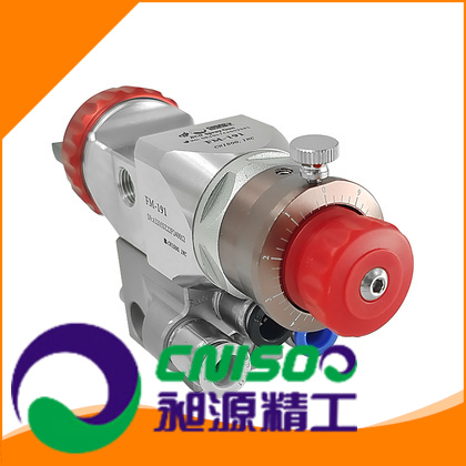 CNISOO