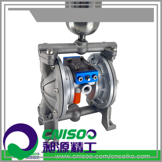 CNISOO