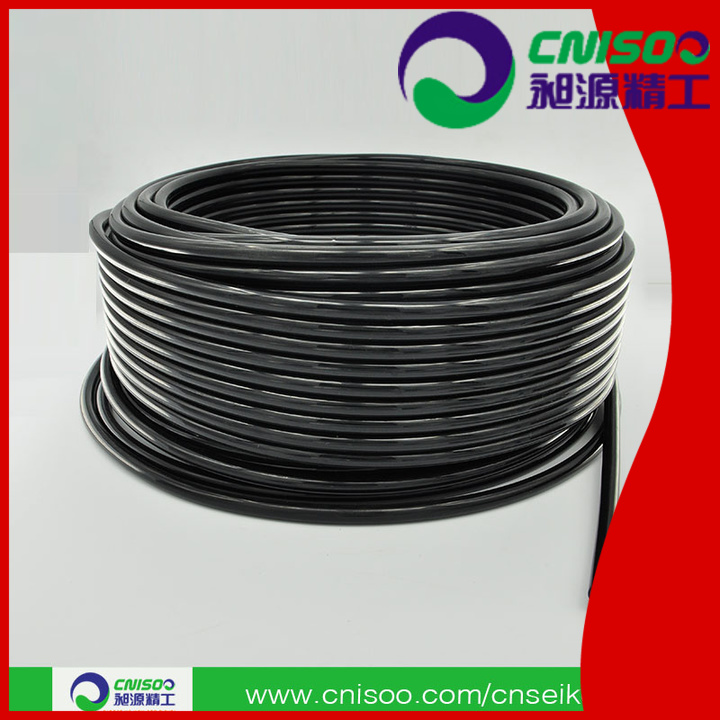 CNISOO