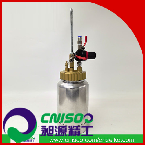 CNISOO